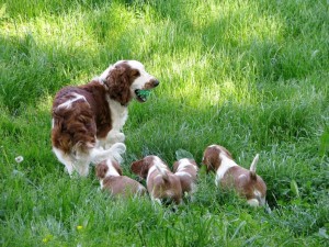 img_1064.jpg